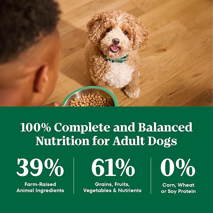 Nutro Natural Choice Adult Small Bites Dog Food, Lamb & Brown Rice Recipe, 30 lb. Bag