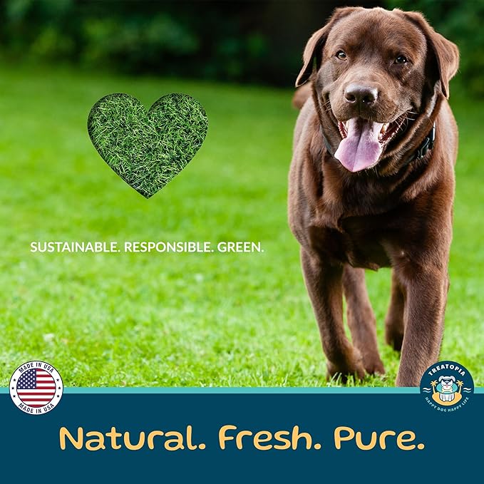 TREATOPIA Adventure Beef Marrow Dog Bones, Dynamo, 3”, 6 PC - All-Natural, Center-Cut, Long-Lasting, Healthy, Single Ingredient, Hand-Trimmed, Slow-Roasted, Made in The USA, No Additives