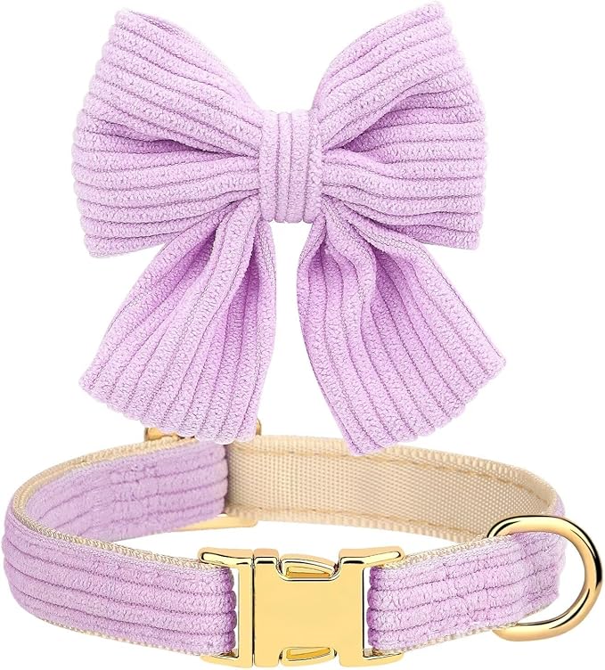 Didog Cute Dog Collar and Leash Set with Bowtie, Girl Dog Collars Metal Buckle Adjustable for Small Medium Dogs(Purple, S)
