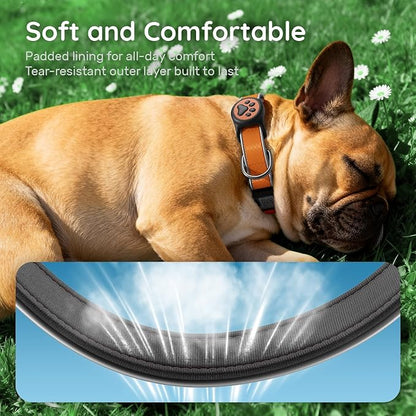 Reflective Dog Collar with Airtag Holder, IPX8 Waterproof Air Tag Dog Collar Holder | Ultra-Durable | Soft Padded | Safety Locking Buckle | Fit Small Dogs (Orange S(9.8"-15.7"))