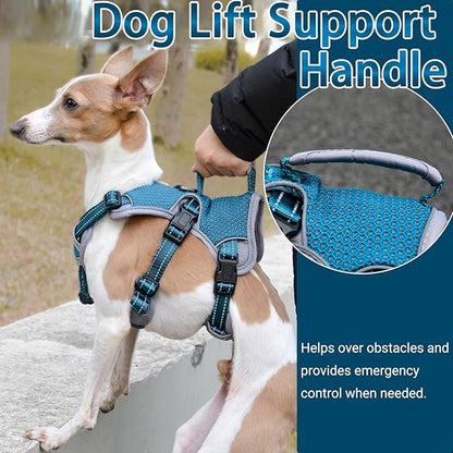 BELPRO Multi-Use Support Dog Harness, Escape Proof No Pull Reflective Adjustable Vest with Durable Handle, Dog Walking Harness for Big/Active Dogs (Blue, S)