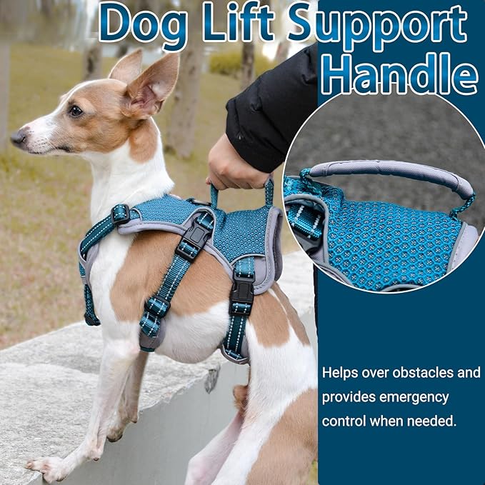 BELPRO Multi-Use Support Dog Harness, Escape Proof No Pull Reflective Adjustable Vest with Durable Handle, Dog Walking Harness for Big/Active Dogs (Blue, M)