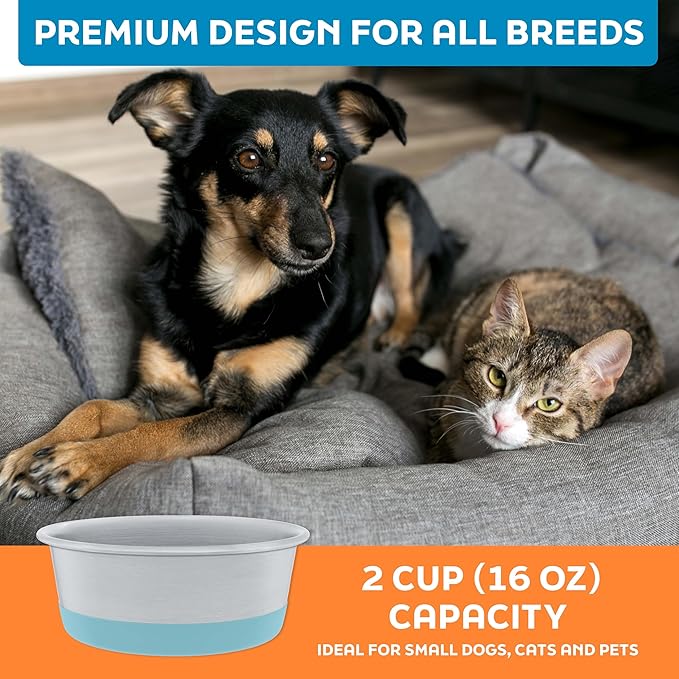 Master Pet Supply Stainless Steel Dog Bowls Set of 2 with Extra Thick Silicone Base - 2 Cup (16 oz) Aqua Sky, Non-Slip, Dishwasher Safe Metal Bowls, Pet Dog Food Bowl for Dogs, Cats, Anti Rust