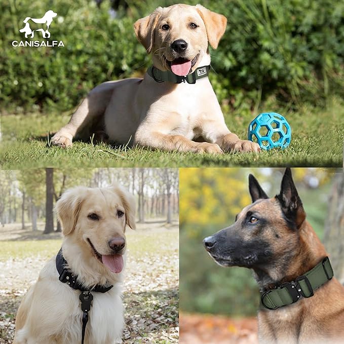 Camo Tactical Dog Collar for Medium & Large Dogs – Heavy Duty Adjustable Nylon Collar with Control Handle, Quick-Release Metal Buckle & D-Ring Comfortable, Durable Training Collar for All Dog Breeds