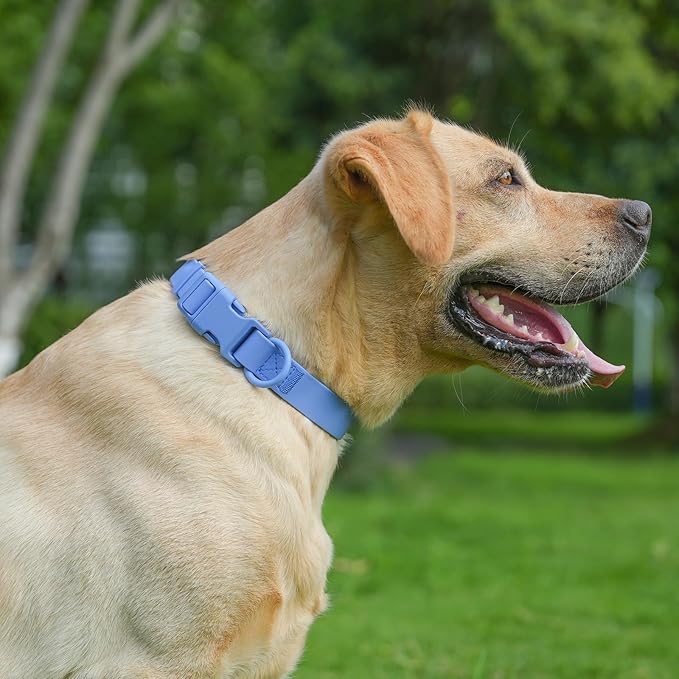 Waterproof Rubber Dog Collar, Odor-Resistant and Easy to Clean, Ideal for Daily Walks, Rainy Days, Swimming and Hiking, Fits Small Medium and Large Dogs