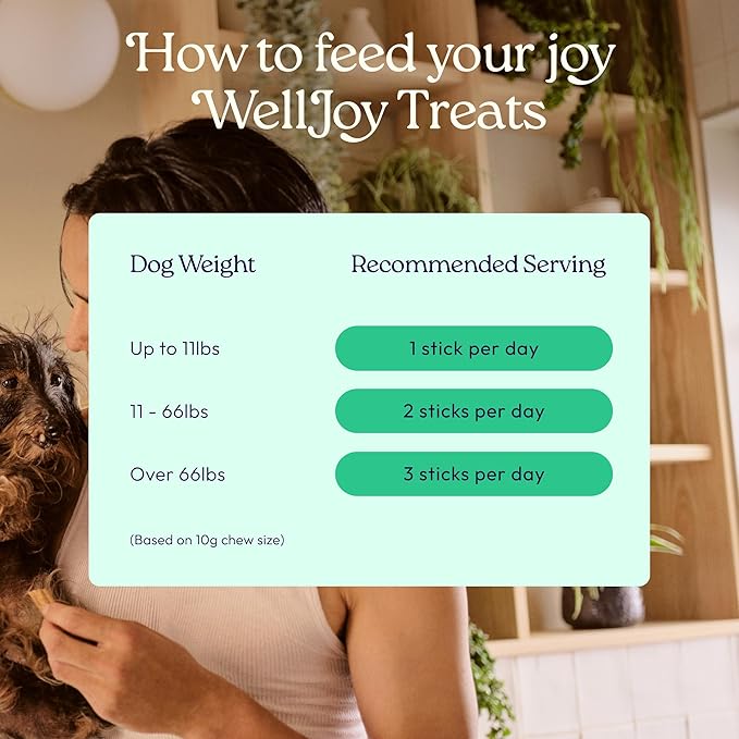 New! WellJoy Dog Treat Dental+ GutBoost | Helps Reduce Tartar | Freshens Breath | Dual-Benefit GutBoost Formulation | Vet Formulated | Made in USA | Made with Real Shredded Chicken | 24 Sticks