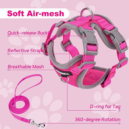 Small Dog Harness and Leash Set, No Pull Adjustable Pet Harness for Small Dogs, Breathable Mesh Rflective Dog Vest Harness (Rose Red, M)