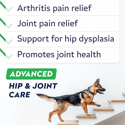 STRELLALAB Advanced Glucosamine Hip & Joint Supplement for Senior Dogs - Green Lipped Mussel & Collagen - Hip & Joint Pain Relief - Large & Small Breed - Joint Health - Bacon - 120 Chews