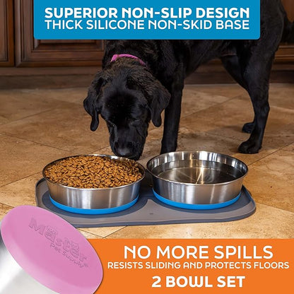 Master Pet Supply Stainless Steel Dog Bowls Set of 2 with Extra Thick Silicone Base - 16 Cup (128 oz) Hyper Pink, Non-Slip, Dishwasher Safe Metal Bowls, Pet Dog Food Bowl for Dogs, Cats, Anti Rust