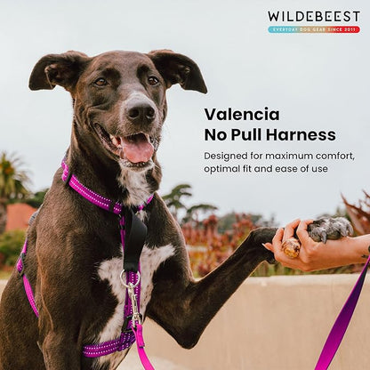 Wildebeest Valencia No Pull Dog Harness | Front and Back Leash Clips | Soft Padded Straps | Lightweight, Adjustable, Easy On/Off for Training and Dog Walking | Small Fuchsia