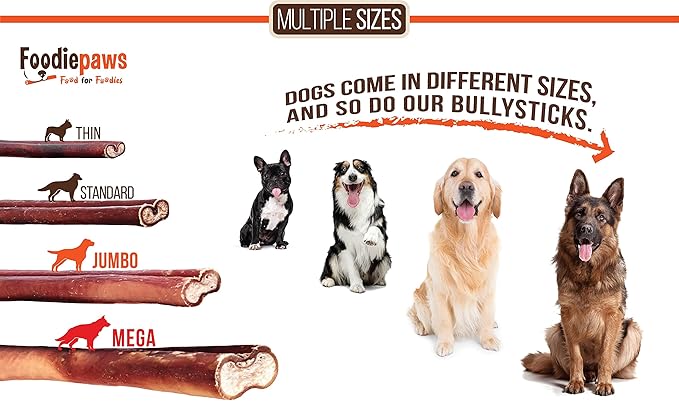 FOODIEPAWS 6 Inch Jumbo Bully Sticks for Dogs, 10 Pack | All Natural, Grass-Fed Beef | Extra Thick, Rawhide-Free & Fully Digestible Chews | Odor-Free, Long Lasting Dog Treats for Medium & Large Breeds