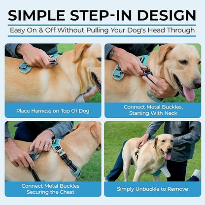 DogTraxs - Step-in Dog Harness - for Large Dogs - Soft Padding & Reflective Trim - Adjustable No Pull Through Design - Control Handle - Top & Front Clip Durable - Sky Blue