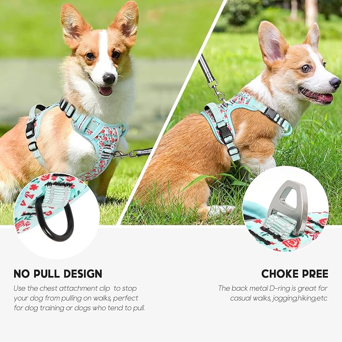 Timos Dog Harness, No-Pull Pet Harness with 2 Leash Clips, 3 Snap Buckles Adjustable Soft Padded Dog Vest, Reflective No-Choke Pet Oxford Vest with Easy Control Handle for Small Medium Large Dogs