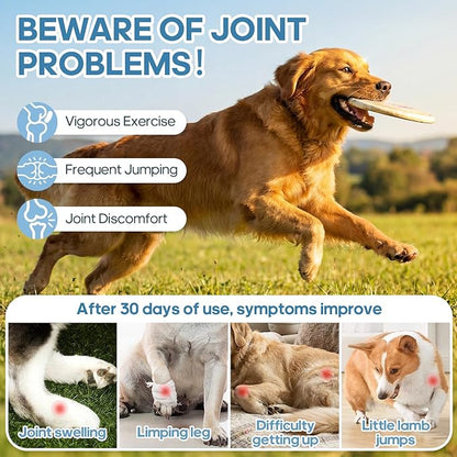 Dog Hip and Joint Supplement – Glucosamine Chondroitin Turmeric MSM Omega 3 – Dog Joint Supplement & Mobility Support for Large Breed, Senior & Active Dogs and Cats