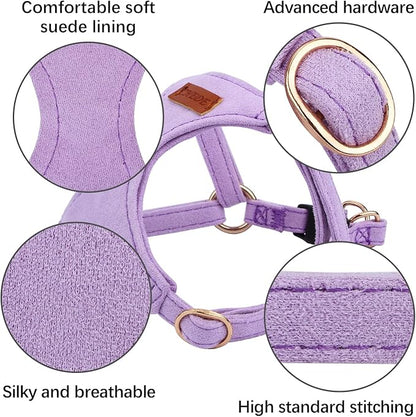 CHEDE No Pull Puppy Harness and Multifunction Dog Leash Set- 8 Colors Soft Adjustable No Choke Escape Proof Cute,Lightweight Pet Vest Harness for Small and Medium Dog (XS, Purple)