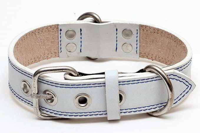 Premium Leather Collars with Stainless Steel Buckles (21"-24", White)