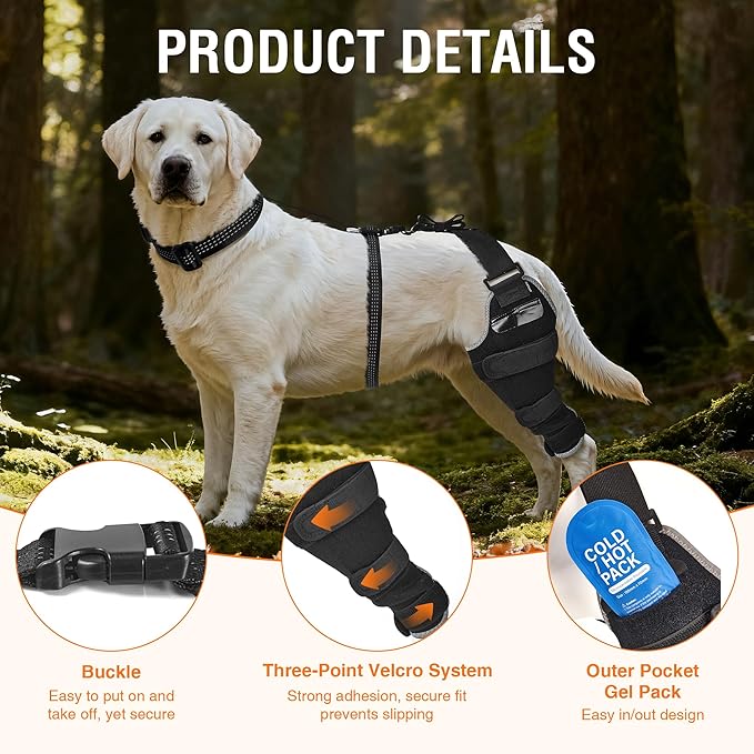 Dog Knee Brace for Torn ACL Hind Leg – Adjustable Dog ACL Brace for Back Leg with Removable Hot/Cold Gel Packs for Luxating Patella, Left Leg, Size L1