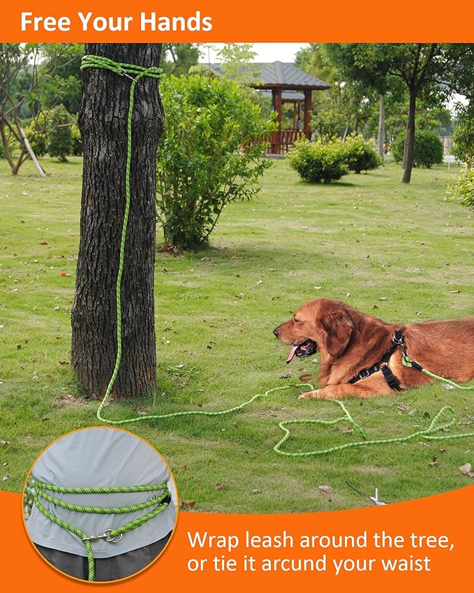 Long Dog Leash for Dog Training 16FT/30FT/50FT/100FT, Reflective Dog Leash with Lockable Hook, Heavy Duty Dog Lead for Large Medium Small Dogs Outside Walking, Playing, Camping, or Yard 20FT Green