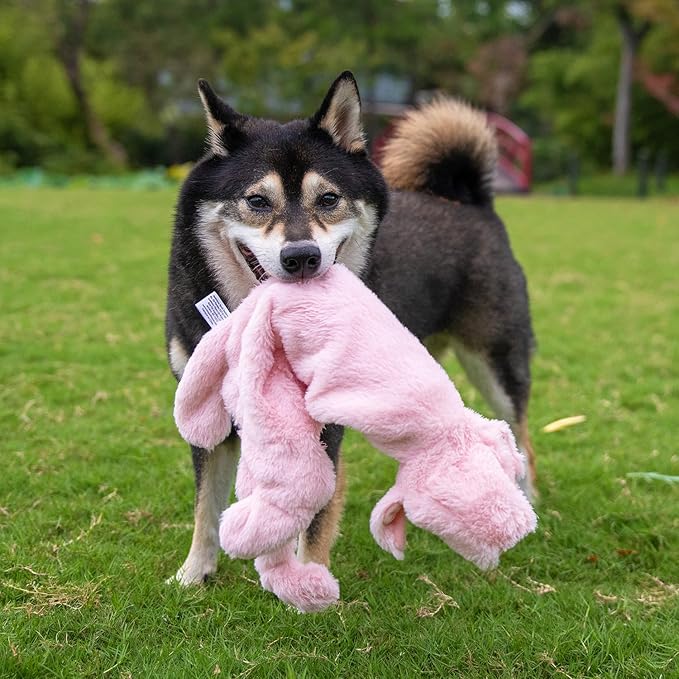 Best Pet Supplies Squeaky Dog Toys with Soft Durable Fabric for Small, Medium and Large Pets Interactive Toy for Indoor Play, Supports Active Biting and Play - 1Wild Duck, Pig, Small