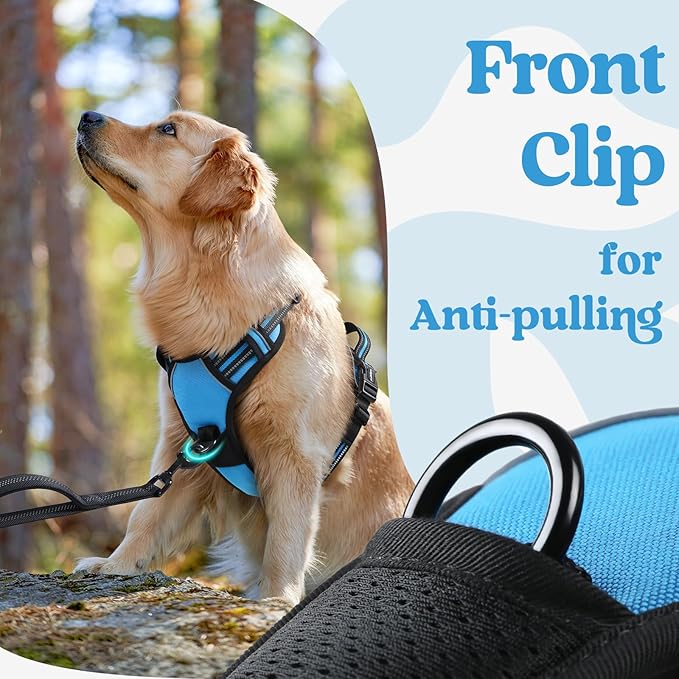 rabbitgoo Dog Harness Small Sized, No Pull Pet Harness with 3 Buckles, Adjustable Soft Padded Vest with Control Handle, Walking Reflective Pet Vest for Small Dogs, Sky Blue, S