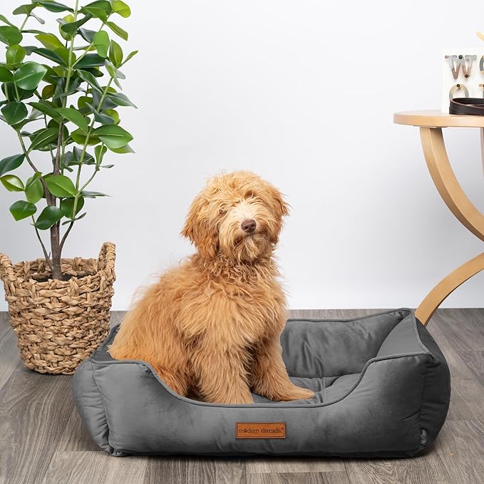 Modern Threads Luxury Dog Bed - Comfortable Tufted Velvet Cushion for Small to Medium Dogs - Machine Washable - Durable & Cute Sleep Space for Pets - Pamper Your Pet with Cozy Beds - Charcoal