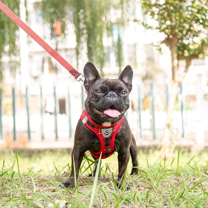 EXPAWLORER Classic Plaid Puppy Harness - Small Dog Harness and Leash Set - Dog Collar and Leash Set with AirTag Holder, Soft Padded Step in Dog Vest Harness No Pull Reflective for Outdoor, Red L
