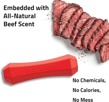 Playology Dog Toys | Durable Squeaky Chew Stick for Dogs | Medium Beef Scented Toy, Value 2-Pack - Easy to Clean and Made from Non Toxic Materials