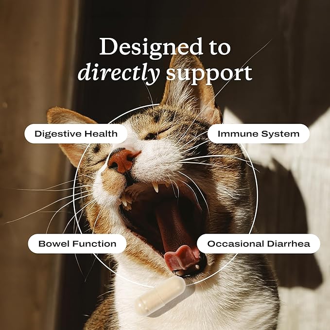 PetLab Co. Probiotics for Cats, Support Gut Health, Occasional Diarrhea, Digestive Health & Immune Support - Easy to Use - 30 Count