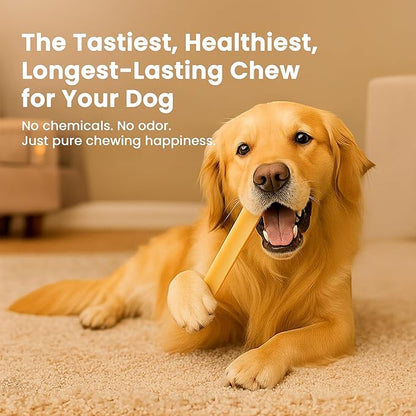 Authentic Himalayan Yak Cheese for Dogs - Mega (Pack of 1) - Sourced from Pristine Himalayan Foothill, Rawhide-Free, NO preservatives