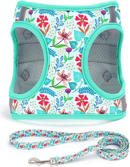 Moonpet Step in Dog Harness Leash Set- All Weather Reflective No-Pull Floral Pattern Padded Mesh Vest Harness for Cats Puppy Extra-Small Small Medium Large Dogs - Verdure Flower - XXS
