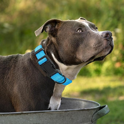Mile High Life Dog Collar | Nylon Reflective Dog Collars | Light Weight Puppy Collars | Dark Blue Dog Collars for Small Dogs (Dark Blue, Small)