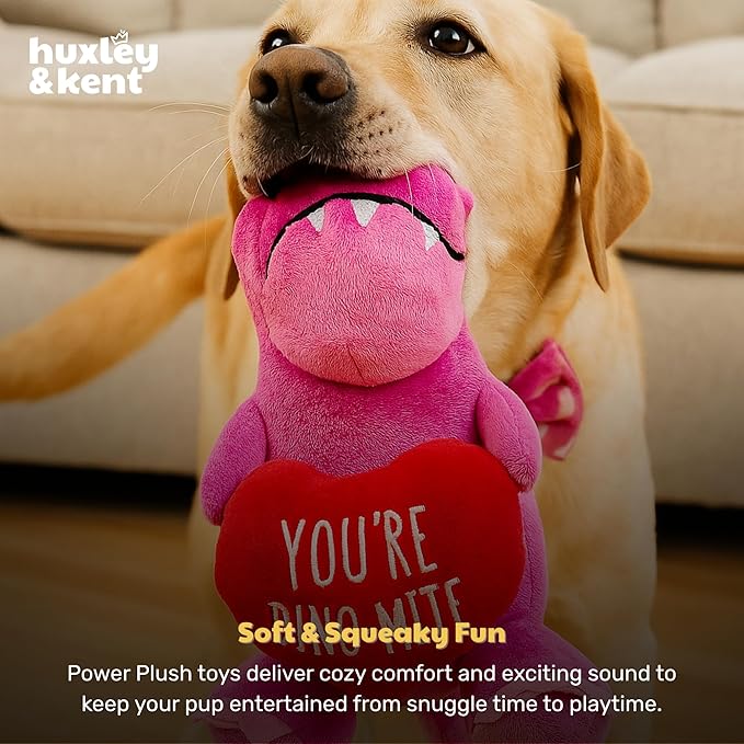 Huxley & Kent Funny Dog Toy w/Squeaker – Valentine's DayPower Plush Squeaky Dog Toys for Small, Medium & Large Dogs – Soft Stuffed Animal for Indoor Play & Fetch - You're Dino-Mite, One Size