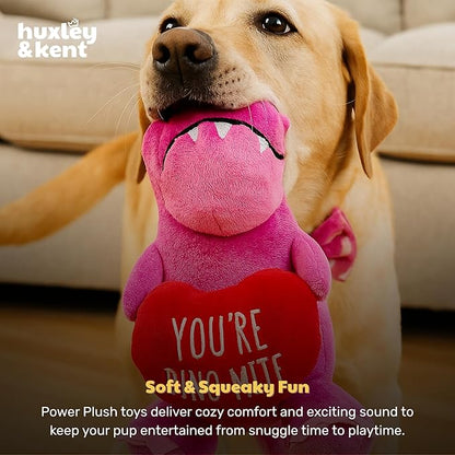 Huxley & Kent Funny Dog Toy w/Squeaker – Valentine's DayPower Plush Squeaky Dog Toys for Small, Medium & Large Dogs – Soft Stuffed Animal for Indoor Play & Fetch - You're Dino-Mite, One Size