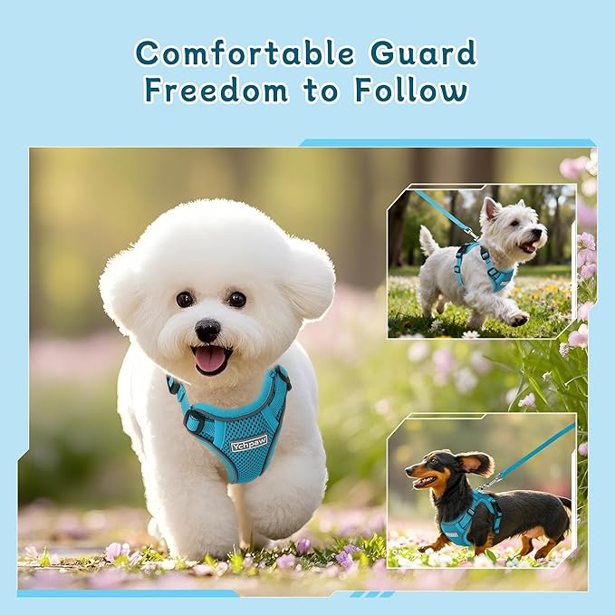 Small Dog Harness and Leash Set, Reflective Soft Breathable Mesh Vest, 3 Buckles, Adjustable Neck and Chest,Step in Dog Harness for Walking, Running, Training, Turquoise, XS