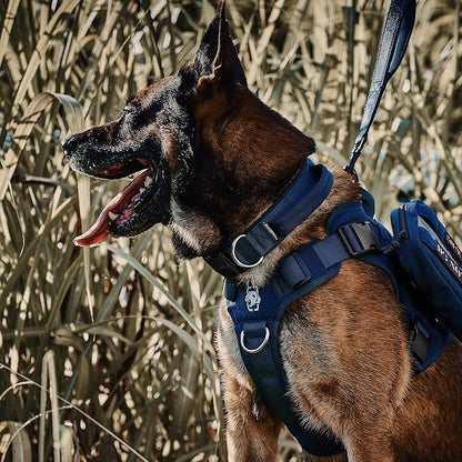 OneTigris Tough Dog Collars, Tactical Dog Collar with Handle, Milltary Adjustable Dog Collar with Heavy Duty Metal Buckle for Training (Large,Blue)