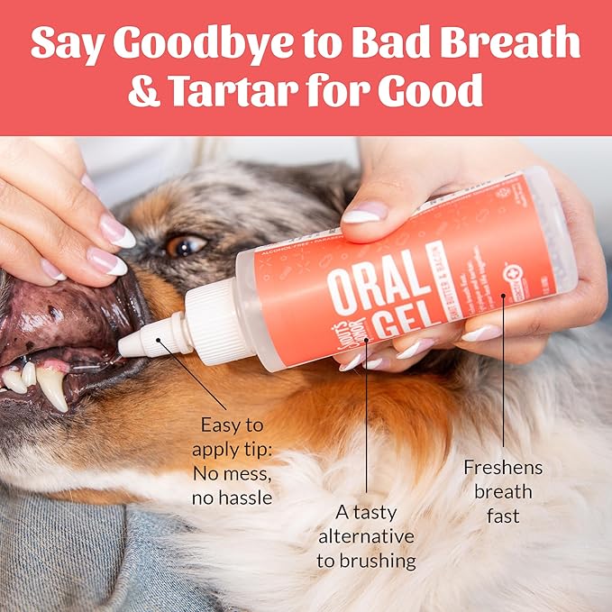 SKOUT'S HONOR Freshens Breath Peanut Butter & Bacon Oral Gel - Fights Plaque and Tartar, Freshens Breath Fast, No Brushing Required, 4 oz