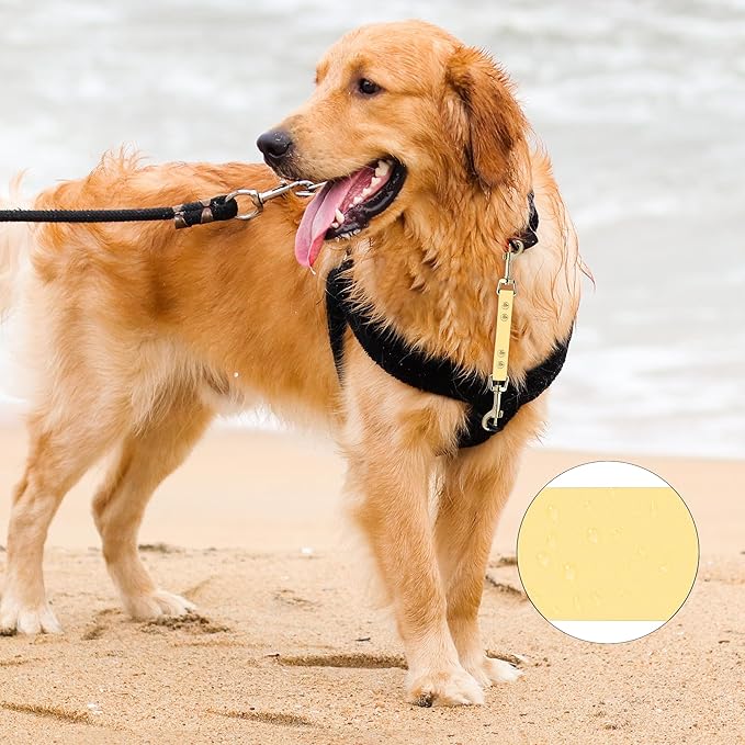 PetBonus Dog Collar Safety Clip, Waterproof Backup Safety Strap for Dog Harness to Prong Collar, Odor Proof Double Ended Clasp Leash Connector for Training Walking (Sand)