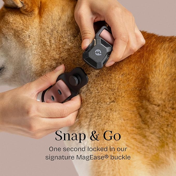 2026 New Edition, Fei & Eve PVC MagEase Dog Collar - Patented Magnetic Buckles | Fur-Safe | 450LB Escape-Proof | Adjustable Fit | Medium (Blush)