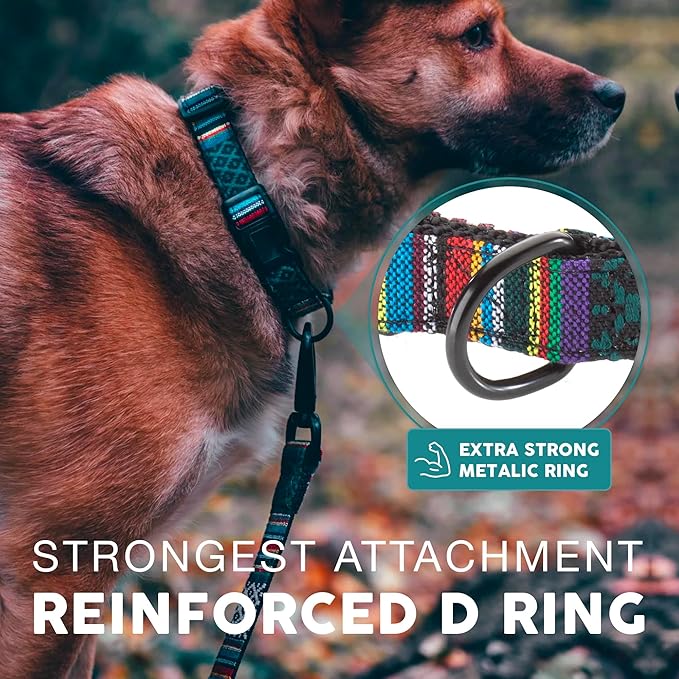 Embark Urban Dog Collar – Stylish & Durable Nylon Collar for Medium Dogs, Comfortable & Adjustable Pet Collar for Medium Sized Dog with Strong Buckles