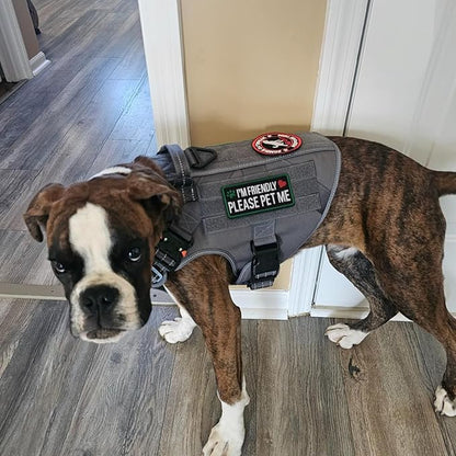 2 PCS Service Dog Patches with Removable Tactical Hook Loop Embroidered in Training Patch Do Not Pet Working Dog Patch for Vest Harnesses Collars Leashes