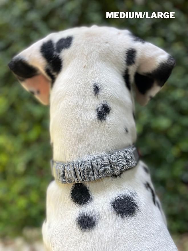 Tuff Pupper Heavy Duty Dog Collar with Handle | Ballistic Nylon Heavy Duty Collar | Padded Reflective Dog Collar with Adjustable Stainless Steel Hardware | Convenient Sizing for All Breeds