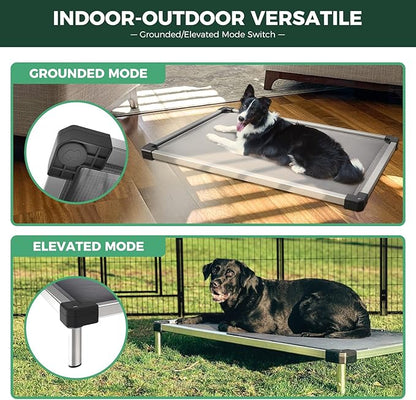 FXW TitanNest Chew-Proof Elevated Dog Bed, Raised Cot for Indoor/Outdoor/Camping Use, Durable & Washable Padded Pet Bed for Toy Dogs, 24.0" L x 20.0" W x 4.1" H, Gray