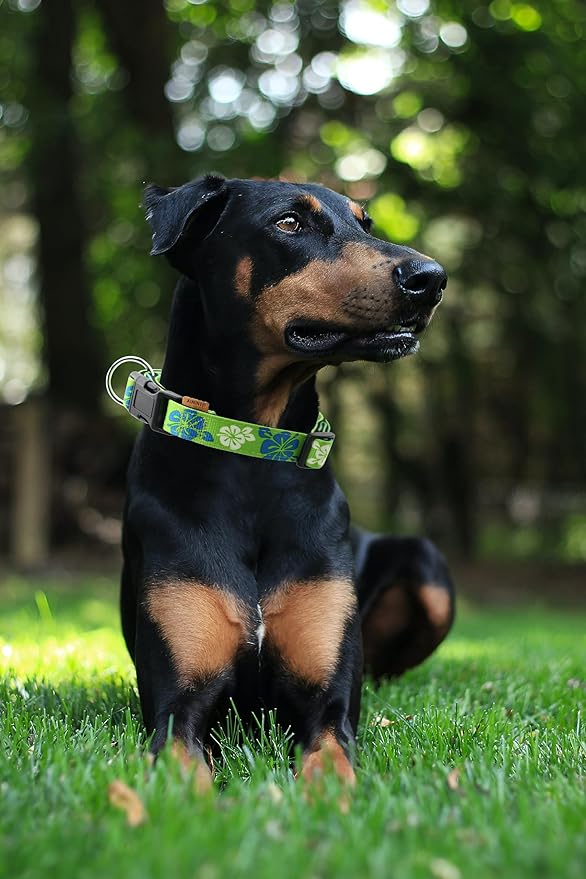 Dog Collar, Cute Floral Pattern, Neoprene Padded and Adjustable Collar with Quick Release Buckle, Reinforced Structure (L (Neck 18-28", Width 1"), Hawaiian Green)