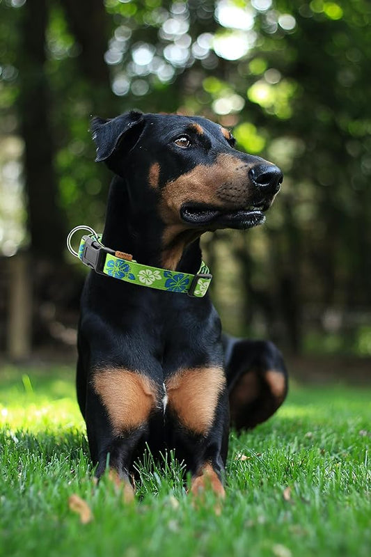 Dog Collar, Cute Floral Pattern, Neoprene Padded and Adjustable Collar with Quick Release Buckle, Reinforced Structure (L (Neck 18-28", Width 1"), Hawaiian Green)