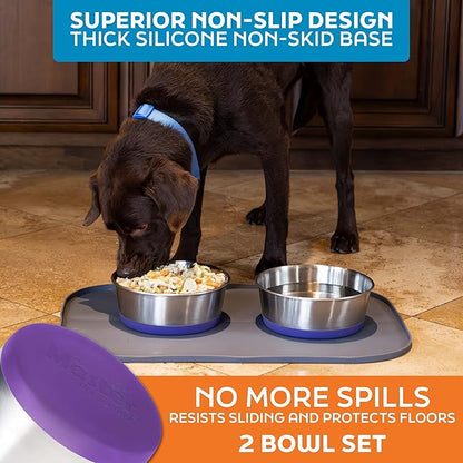 Master Pet Supply Stainless Steel Dog Bowls Set of 2 with Extra Thick Silicone Base - 8 Cup (64 oz) Plum Crazy, Non-Slip, Dishwasher Safe Metal Bowls, Pet Dog Food Bowl for Dogs, Cats, Anti Rust