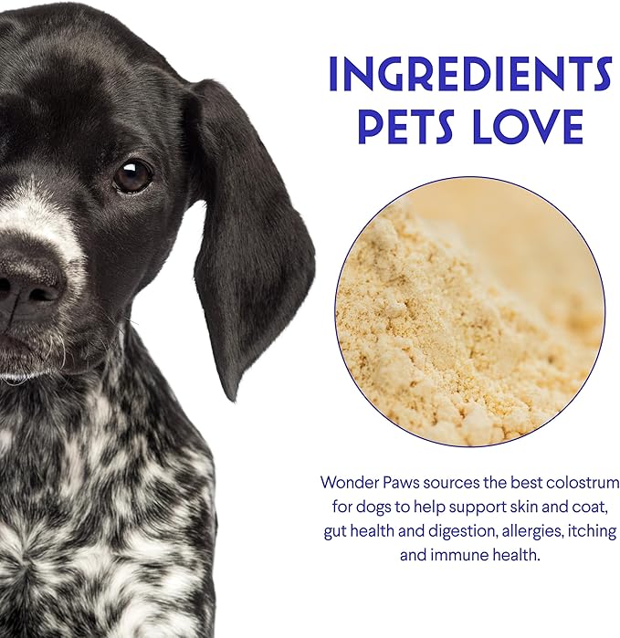 WONDER PAWS Premium Grass Fed Colostrum for Dogs – Pure Bovine Colostrum for Dogs – Immune, Allergy, Skin & Itch Relief – All Ages, Sizes & Breeds – 3.20oz