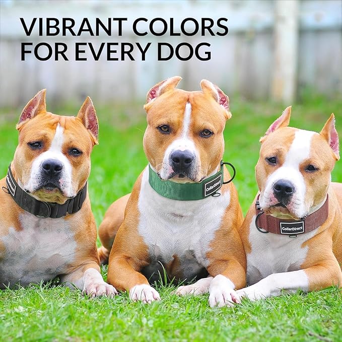 Heavy Duty Dog Collar for Large or Medium Dogs, Adjustable Strong Dog Collar for Active Dogs, Double-Layered Nylon (Dark Blue, 15-23)