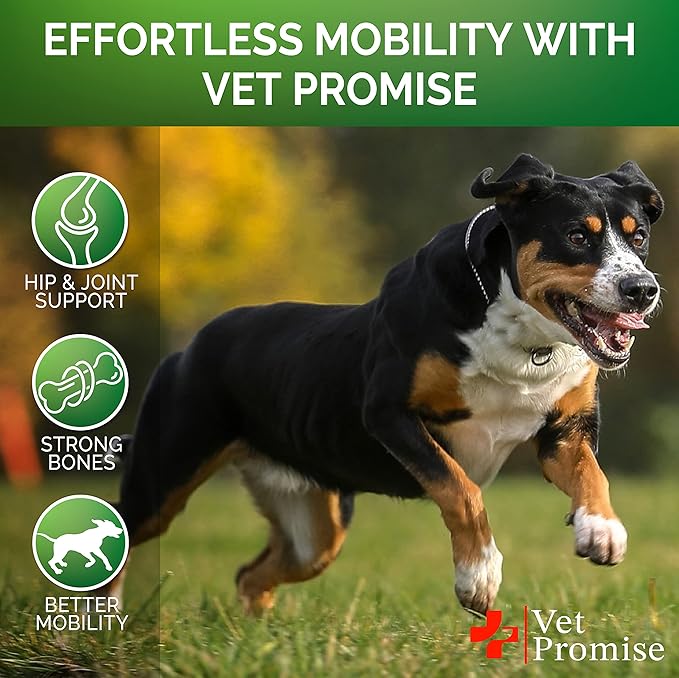 Glucosamine for Dogs - Hip and Joint Supplement for Dogs - Glucosamine Chondroitin - Joint Pain Relief Pills - MSM - Advanced Health Support Supplement - 120 Mobility Chews - Made in USA
