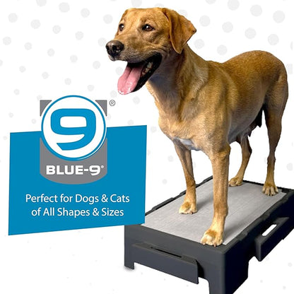 Blue-9 KLIMB Jr. Professionally Designed Dog Training Platform and DIY Guide for Behavior Basics, Made in The USA, Blue