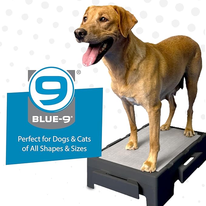 Blue-9 KLIMB Jr. Professionally Designed Dog Training Platform and DIY Guide for Behavior Basics, Made in The USA, Purple